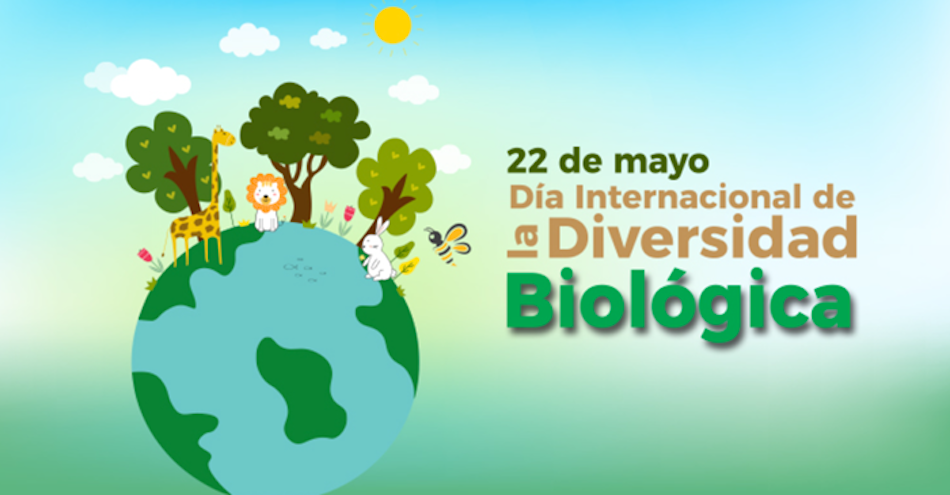EFEMÉRIDES 22 DE MAYO